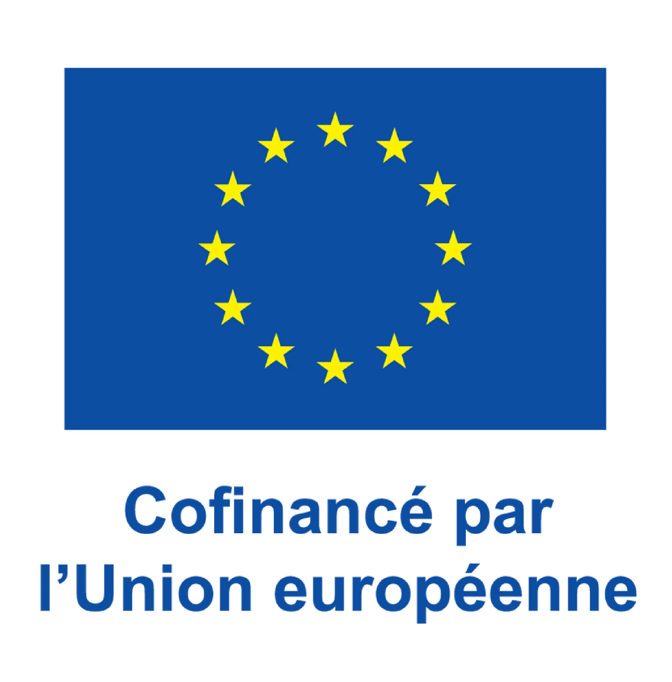Logo FSE